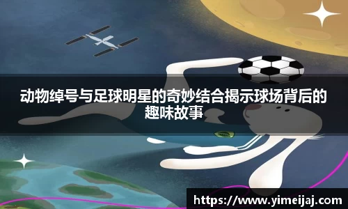 动物绰号与足球明星的奇妙结合揭示球场背后的趣味故事